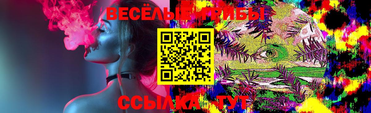 Галлюциногенные грибы GOLDEN TEACHER Сургут